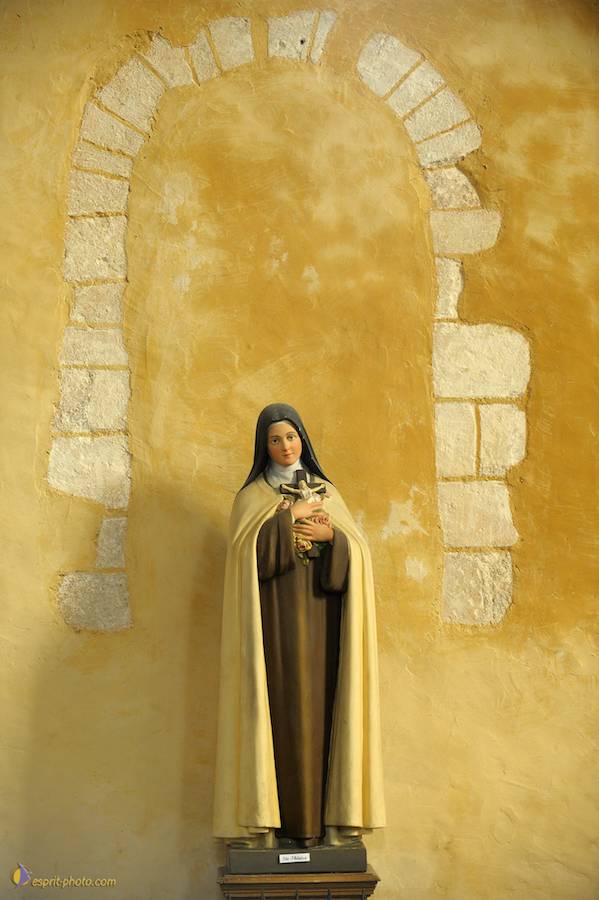 Nom de l'image : D30080443_1_(c)Norbert-JUNG — Description :